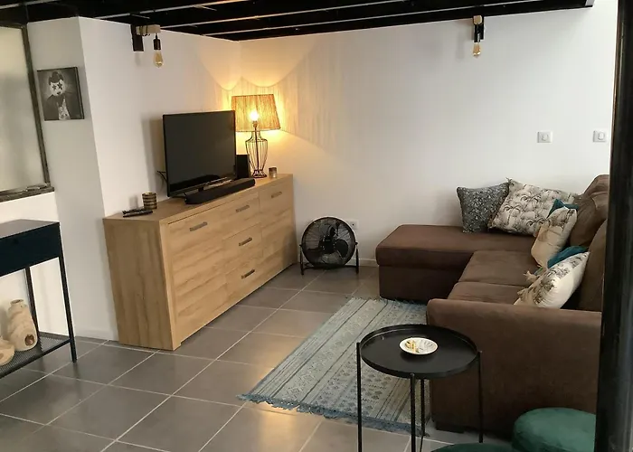 Appartement Loft 60 M2 Centre Ville